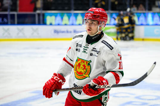 Moras Gustav Salmi-Lilja