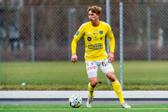 Falkenbergs Gabriel Johansson