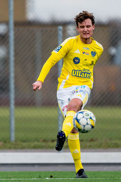 Falkenbergs Alexander Salo