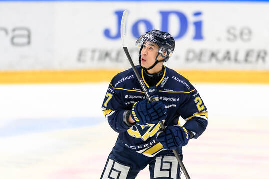 HV71s Jonathan Ang jublar