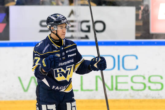 HV71s Jonathan Ang jublar