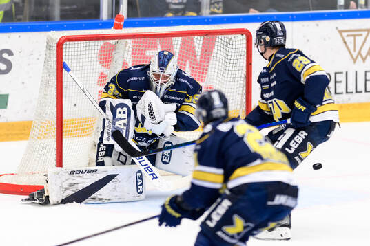 HV71s målvakt Olof Glifford
