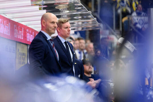 HV71s tränare Anton Blomqvist