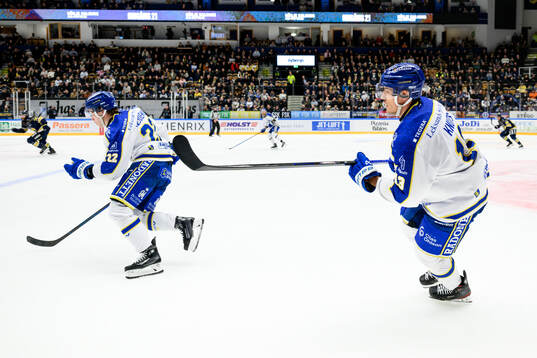Leksands Jon Knuts
