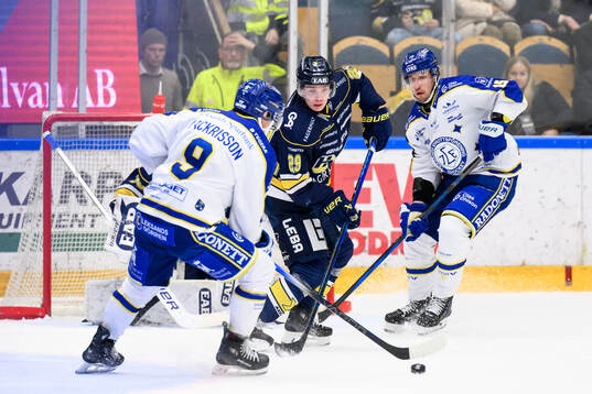 HV71s Wilhelm Hallquisth