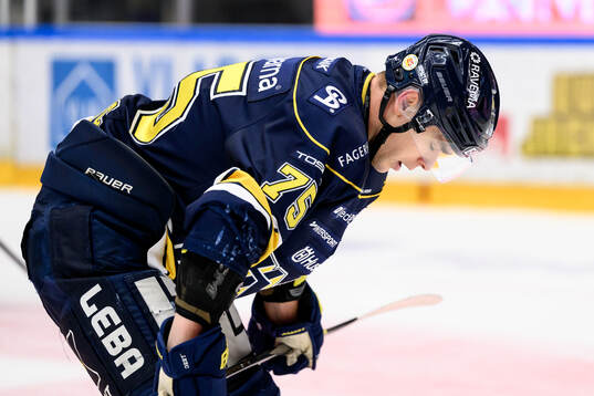 HV71s Radan Lenc deppar
