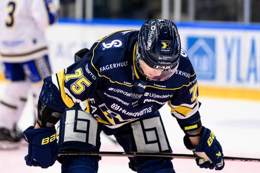 HV71s Radan Lenc