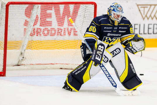 HV71s målvakt Hugo Alnefelt