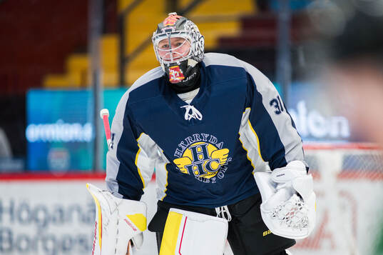 Brynäs målvakt Ludvig Persson