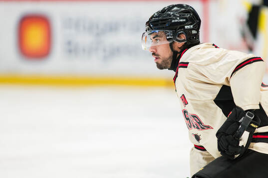 Brynäs Tyler Vesel