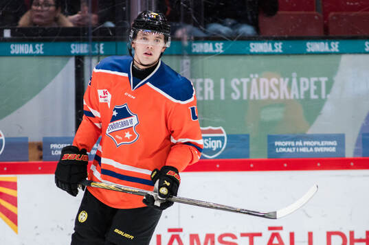 Brynäs Theo Lindstein