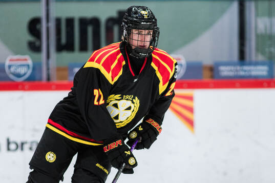 Brynäs Leo Sundqvist