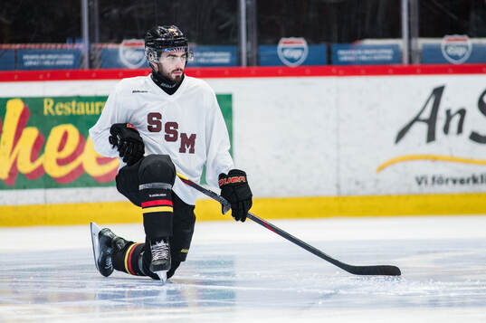 Brynäs Bobby Trivigno