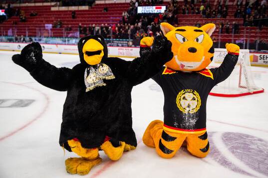 Gefle Dagblads maskor Tjäder Väder och Brynäs maskot
