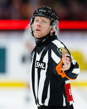 Domare Mikael Holm