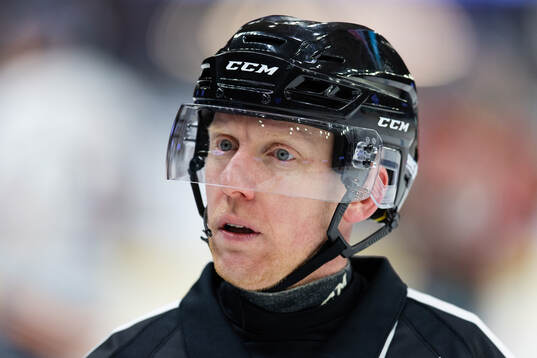 Domare Mikael Holm