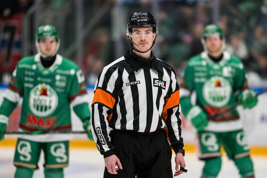 Domare Filip Eriksson