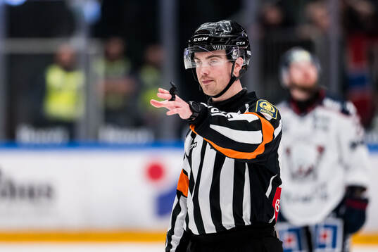 Domare Filip Eriksson