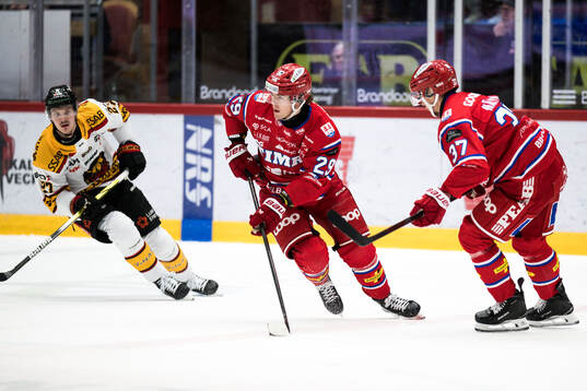 Timrås Filip Hållander