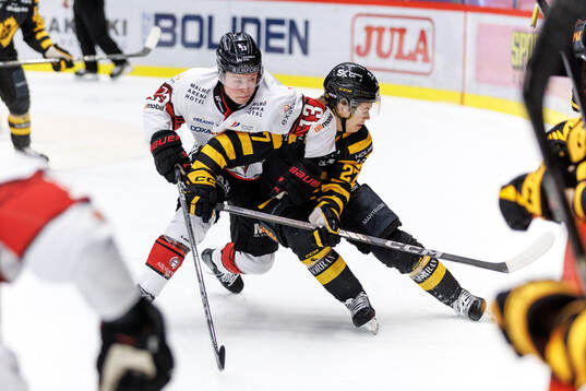 Bläddra bland fler bilder av Ishockey, SHL, Skellefteå - Malmö Redhawks