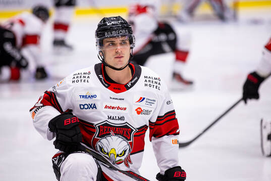Malmö Redhawks Nikola Pasic
