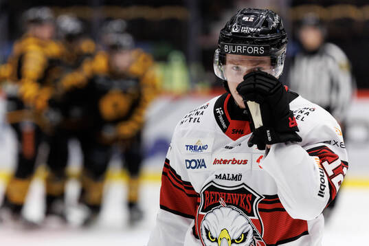 Malmö Redhawks Linus Öberg deppar