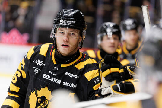 Skellefteås Rickard Hugg jublar