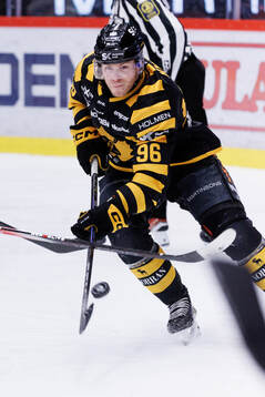 Skellefteås Rickard Hugg