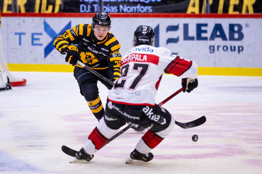 Skellefteås Zeb Forsfjäll