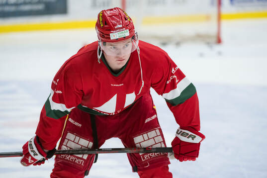 Modos Theodor Niederbach innan ishockeymatchen i SHL mellan