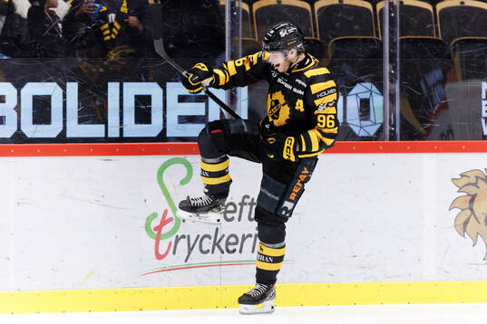 Skellefteås Rickard Hugg jublar