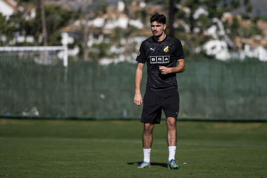 Häckens Nikola Mitrovic