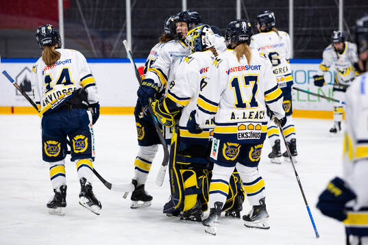 HV71s spelare deppar