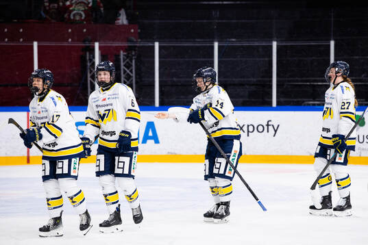 HV71s spelare deppar