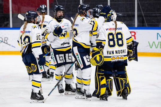 HV71s spelare deppar