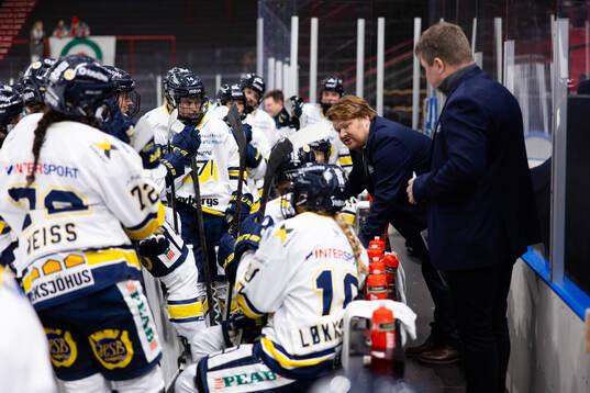 HV71s tränare Thomas Pettersen