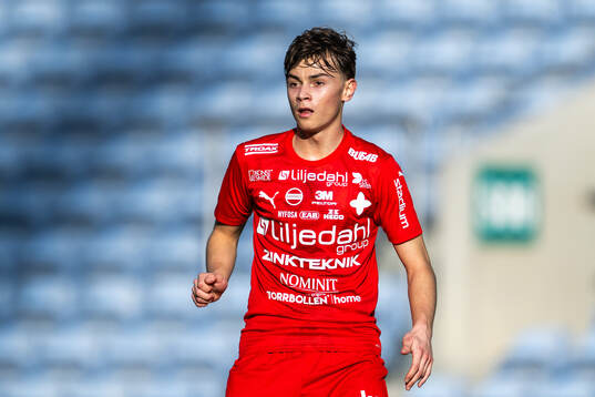 Fred Bozievic of Värnamo