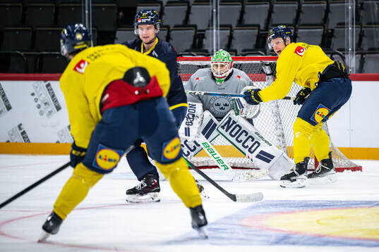 Goaltender Arvid Holm of the Swedish national ice hockey