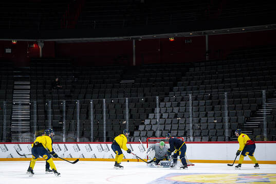 Goaltender Arvid Holm of the Swedish national ice hockey