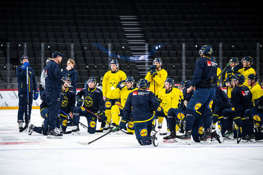 The players of the Swedish national ice hockey team gather