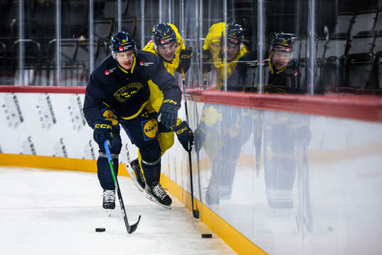 Anton Bengtsson and Axel Sandin-Pellikka of the Swedish