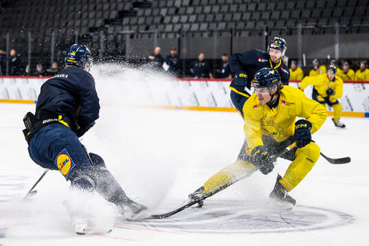 Anton Bengtsson and Axel Sandin-Pellikka of the Swedish