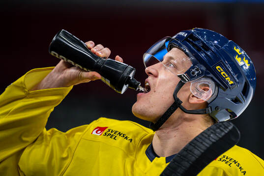 Gabriel Carlsson of the Swedish national ice hockey team at