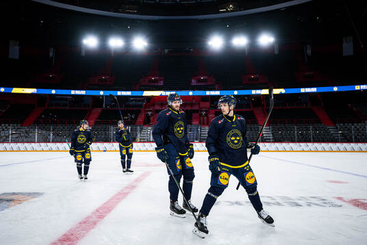 Dennis Everberg and Filip Berglund of the Swedish national