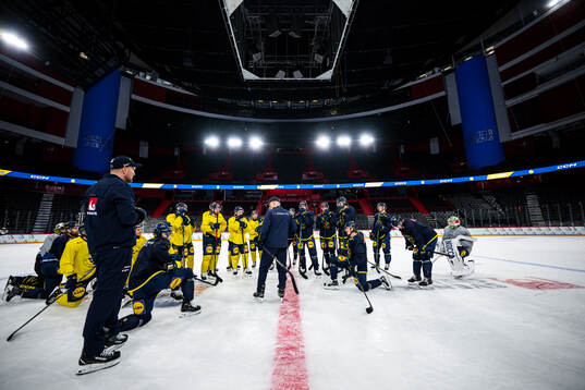 The players of the Swedish national ice hockey team gather