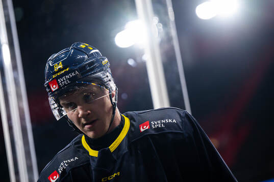 Sebastian Hartmann of the Swedish national ice hockey team