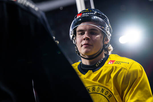 Axel Sandin-Pellikka of the Swedish national ice hockey team