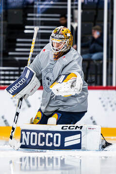 Goaltender Linus Söderström the Swedish national ice