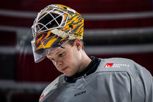 Goaltender Linus Söderström of the Swedish national ice