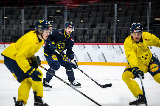 Christoffer Ehn of the Swedish national ice hockey team at